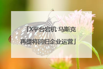 X平台宕机 马斯克再提将回归企业运营